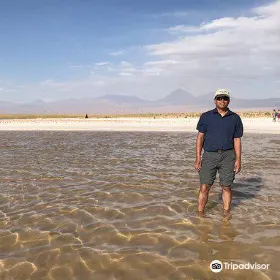 Laguna Cejar