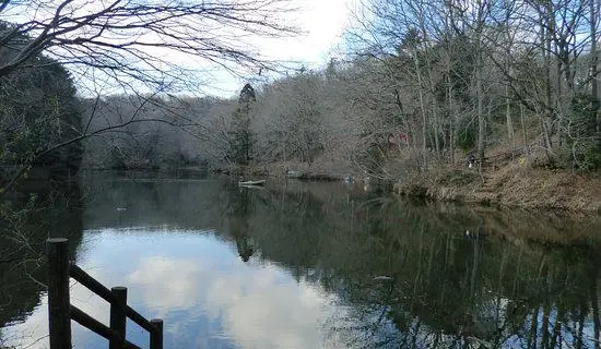 22秦野市熱門推薦活動 秦野市旅遊攻略 秦野市人氣推介景點門票 酒店 好去處 餐飲及餐廳 Trip Com