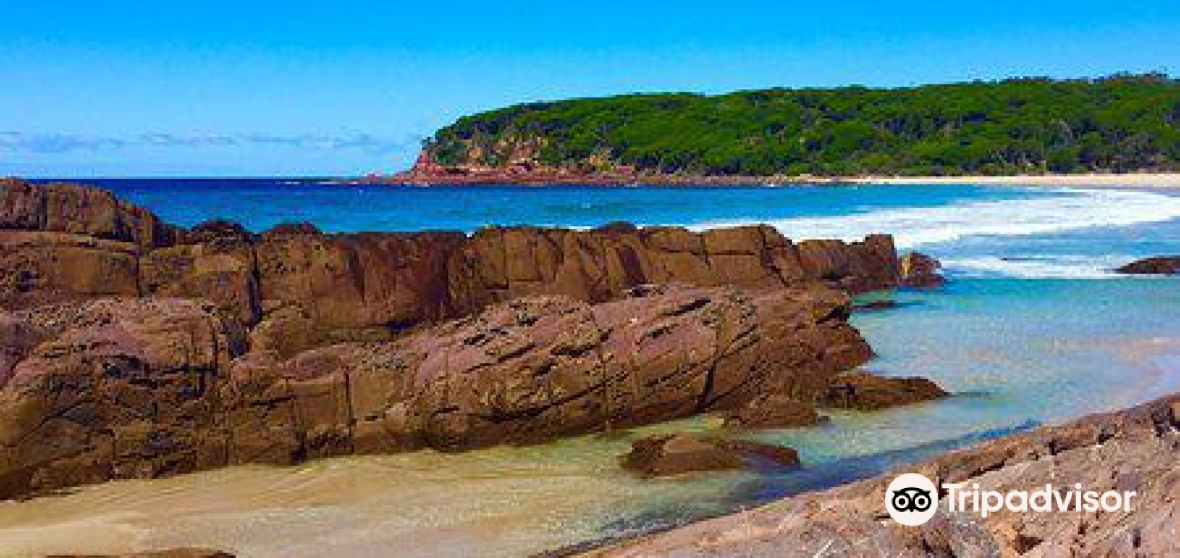 10 Best Things to do in Bega Valley Shire Council, New South Wales