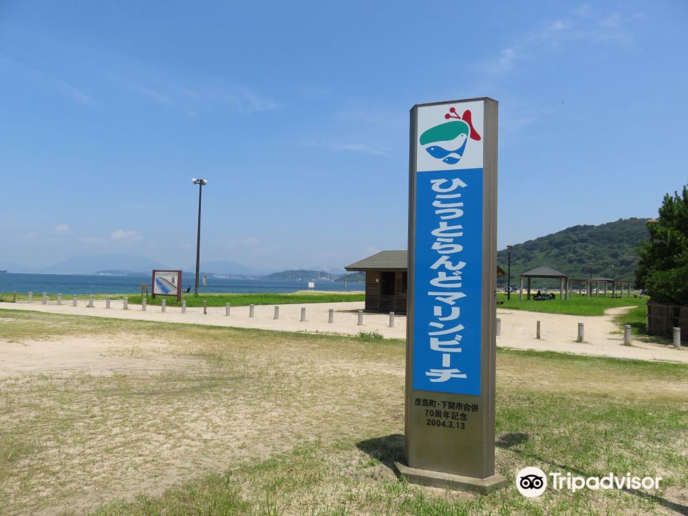 ひこっとらんどマリンビーチのレビュー ひこっとらんどマリンビーチのチケット ひこっとらんどマリンビーチの割引 ひこっとらんどマリンビーチの交通機関 所在地 営業時間 ひこっとらんどマリンビーチ周辺の観光スポット ホテル グルメ Trip Com