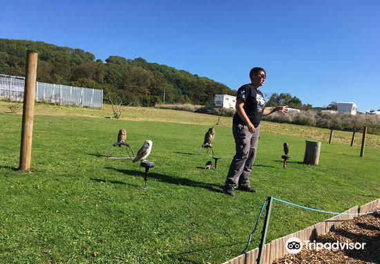 North Somerset Bird of Prey Centre