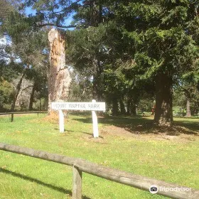 Mt Martha Public Park