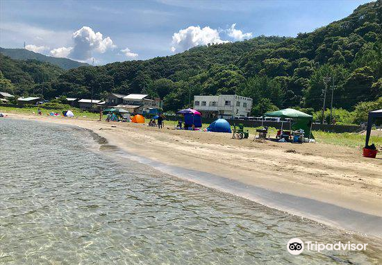 敦賀 江良海水浴場 評判 案内 トリップドットコム