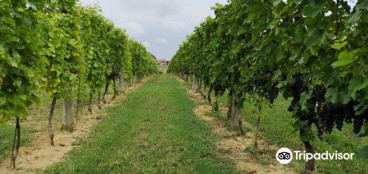 Perletto Travel Guide 2023 Things to Do, What To Eat & Tips