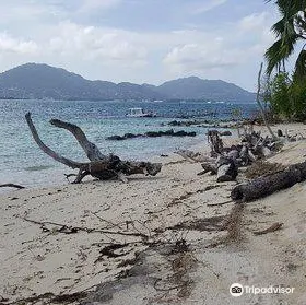 Cerf Island Conservation Programme