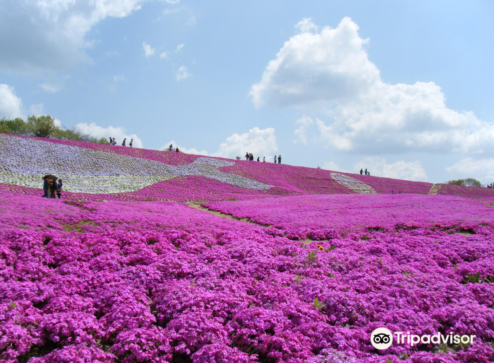 花夢の里ロクタンのレビュー 花夢の里ロクタンのチケット 花夢の里ロクタンの割引 花夢の里ロクタンの交通機関 所在地 営業時間 花夢の里ロクタン周辺の観光スポット ホテル グルメ Trip Com
