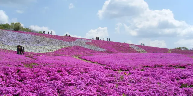 22年世羅町の人気観光スポット 世羅町の旅行ガイド 世羅町のおすすめ観光スポットのチケット ホテル 楽しみ方 グルメ レストラン Trip Com