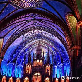 AURA Basilique