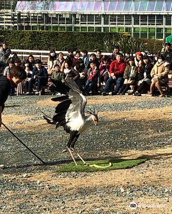 掛川 掛川花鳥園 評判 案内 トリップドットコム