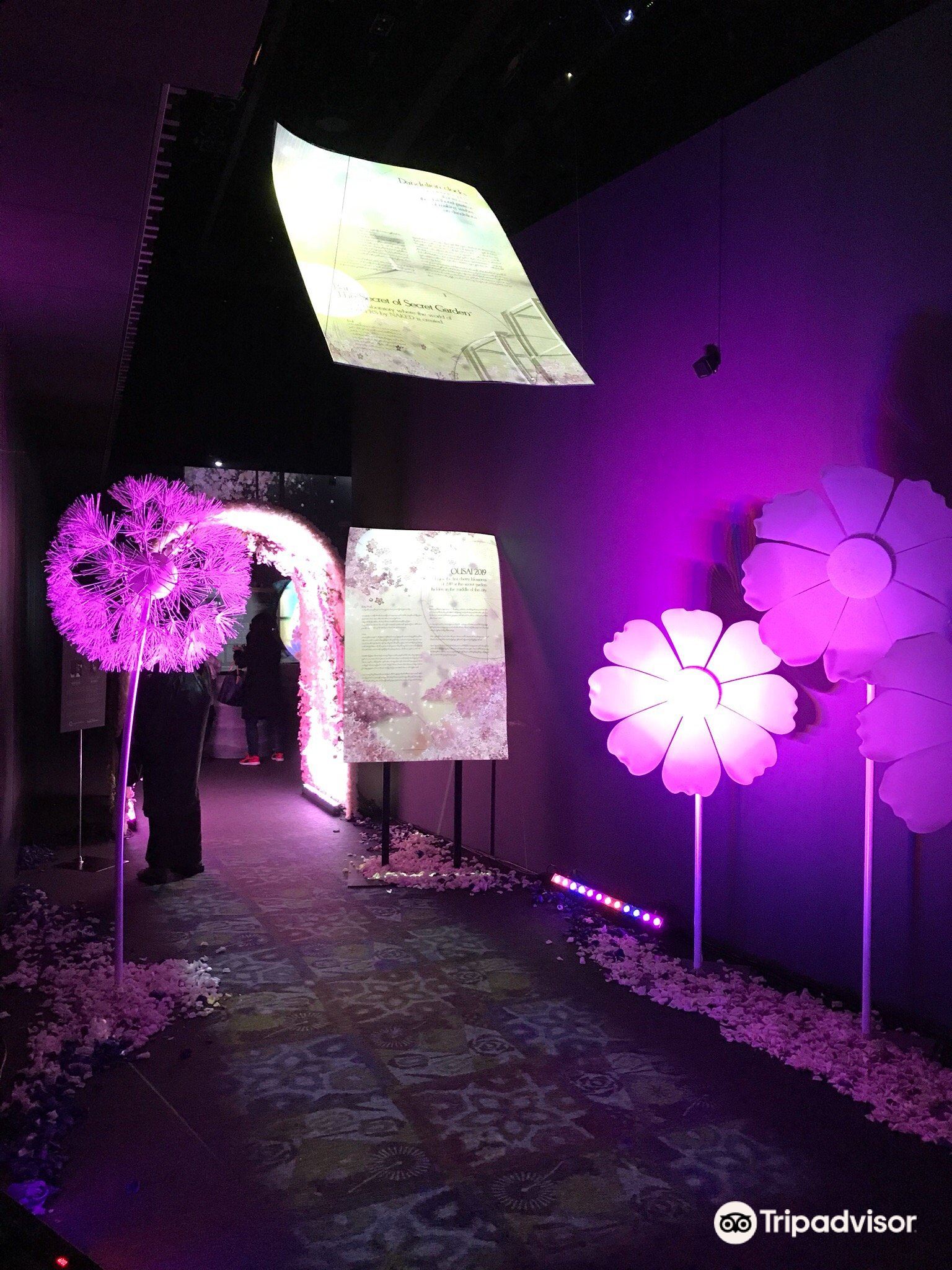 名古屋 アートアクアリウム 評判 案内 トリップドットコム 名古屋 アートアクアリウム 評判 案内 トリップドットコム
