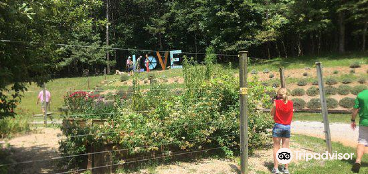 Speedwell Travel Guide 2024 Things to Do, What To Eat & Tips