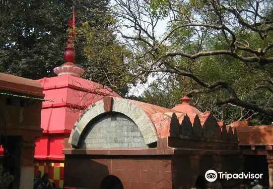 Kalyaneshwari Temple3