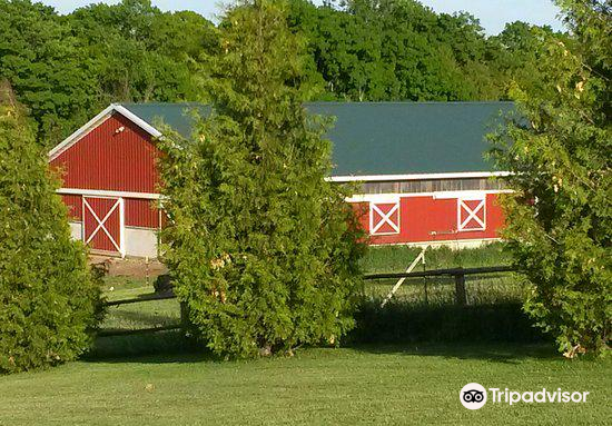 Plum Loco Animal Farm Travel Guidebook Must Visit Attractions In Jacksonport Plum Loco Animal Farm Nearby Recommendation Trip Com