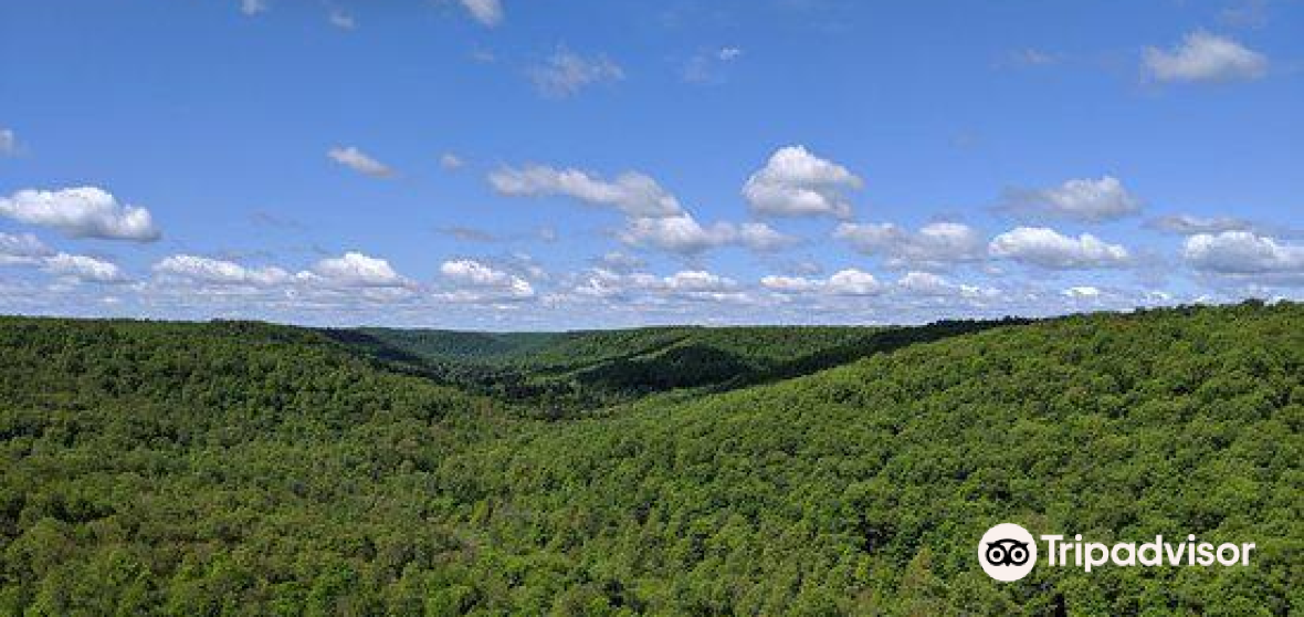 Mount Jewett Travel Guide 2023 Things to Do, What To Eat & Tips