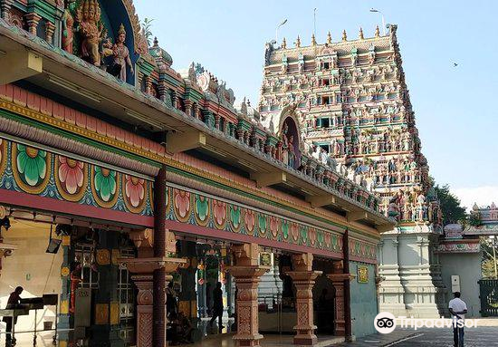 Sivan temple ipoh