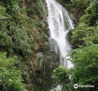 Oyakawa Falls
