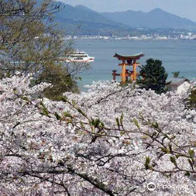 多宝塔