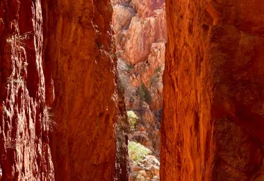 Standley Chasm รูปภาพAttractionsยอดนิยม