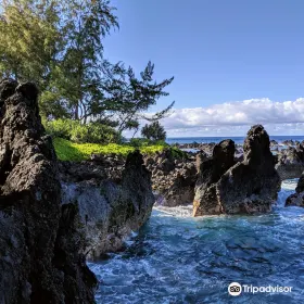 Laupāhoehoe Point