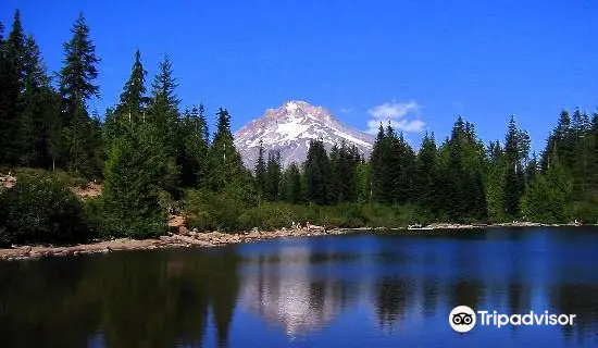 35++ Mt hood village weather