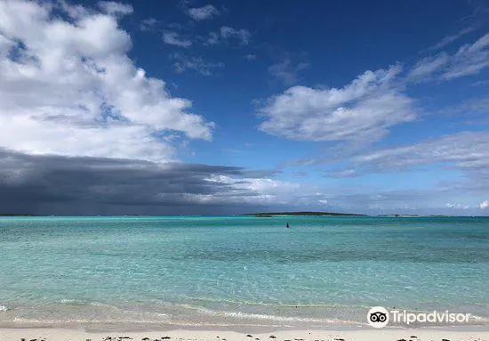 Coco Plum Beach 評判 案内 トリップドットコム Coco Plum Beach 評判 案内 トリップドットコム