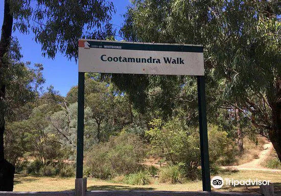 Cootamundra Walk2