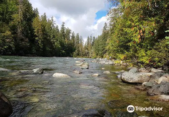 Stamp River Provincial Park最新資訊、特色及評價 | Trip.com