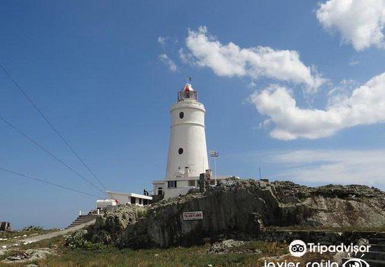 Isla de Flores attraction reviews - Isla de Flores tickets - Isla de Flores discounts - Isla de Flores transportation, address, opening hours - attractions, hotels, and food near Isla de Flores Isla de Flores attraction reviews - Isla de Flores tickets - Isla de Flores discounts - Isla de Flores transportation, address, opening hours - attractions, hotels, and food near Isla de Flores