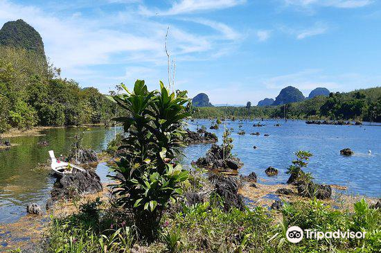 railay cycle