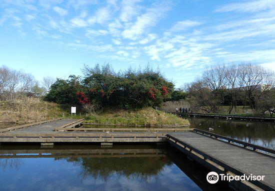 清瀬金山緑地公園のレビュー 清瀬金山緑地公園のチケット 清瀬金山緑地公園の割引 清瀬金山緑地公園の交通機関 所在地 営業時間 清瀬金山緑地公園周辺の観光スポット ホテル グルメ Trip Com