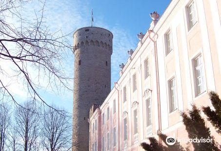 Toompea Castle & Tall Hermann's Tower