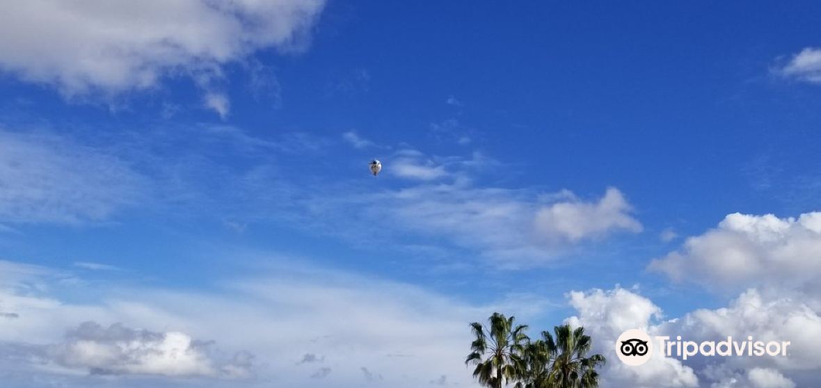 Seal Beach 2022 Top Things to Do Seal Beach Travel Guides Top