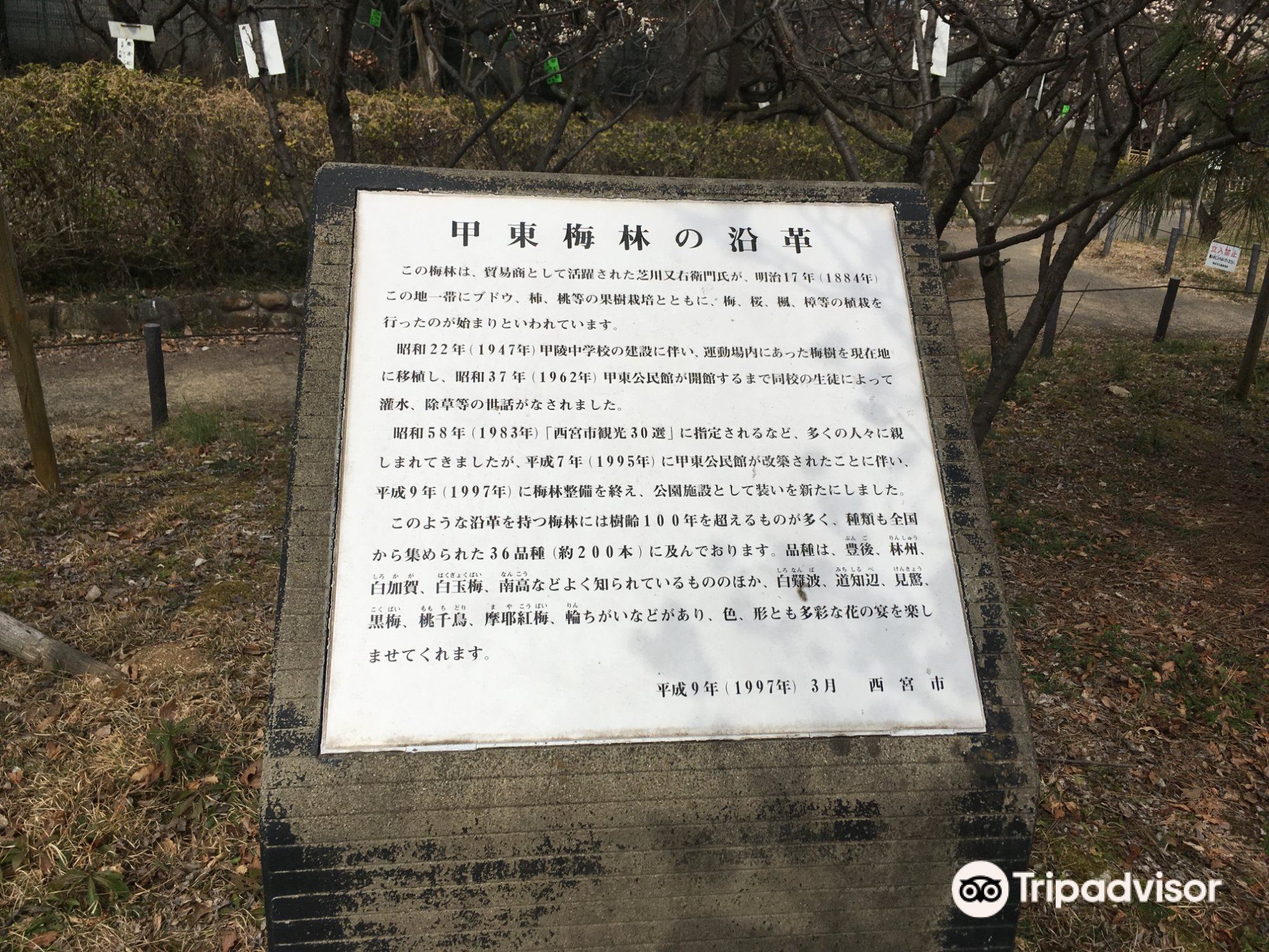 Koto Plum Forest Travel Guidebook Must Visit Attractions In Nishinomiya Koto Plum Forest Nearby Recommendation Trip Com Koto Plum Forest Travel Guidebook Must Visit Attractions In Nishinomiya Koto Plum Forest Nearby Recommendation Trip Com