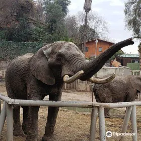 Zoologico Nacional de Chile