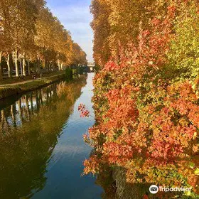 Canal de Brienne (Le)
