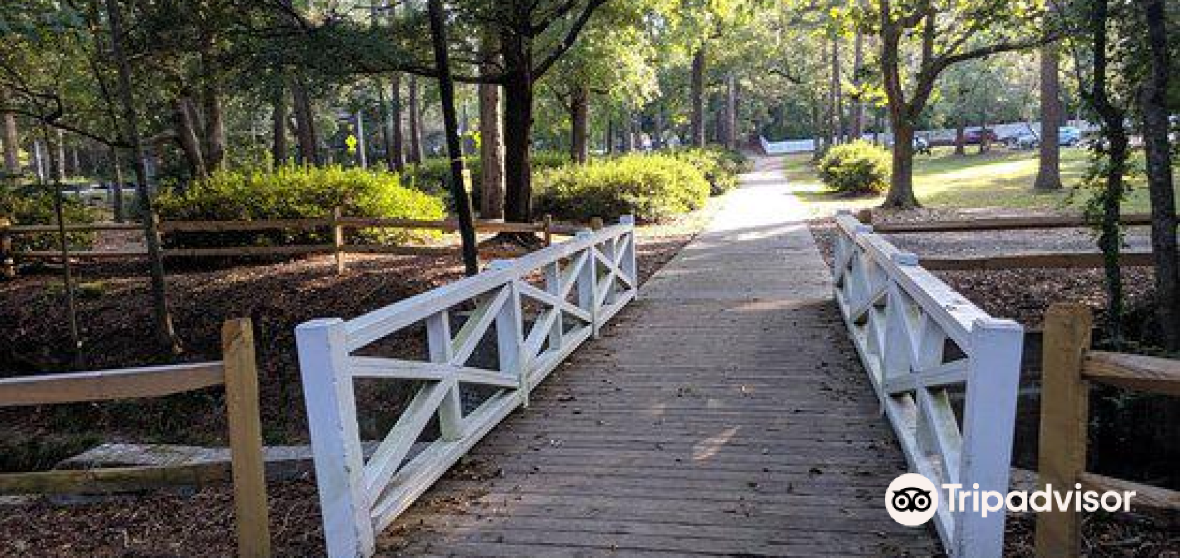10 Best Things to do in Dorchester County South Carolina Dorchester