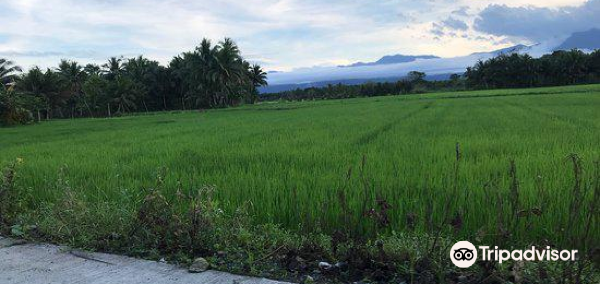 Maria Aurora 2022 Top Things to Do Maria Aurora Travel Guides Top