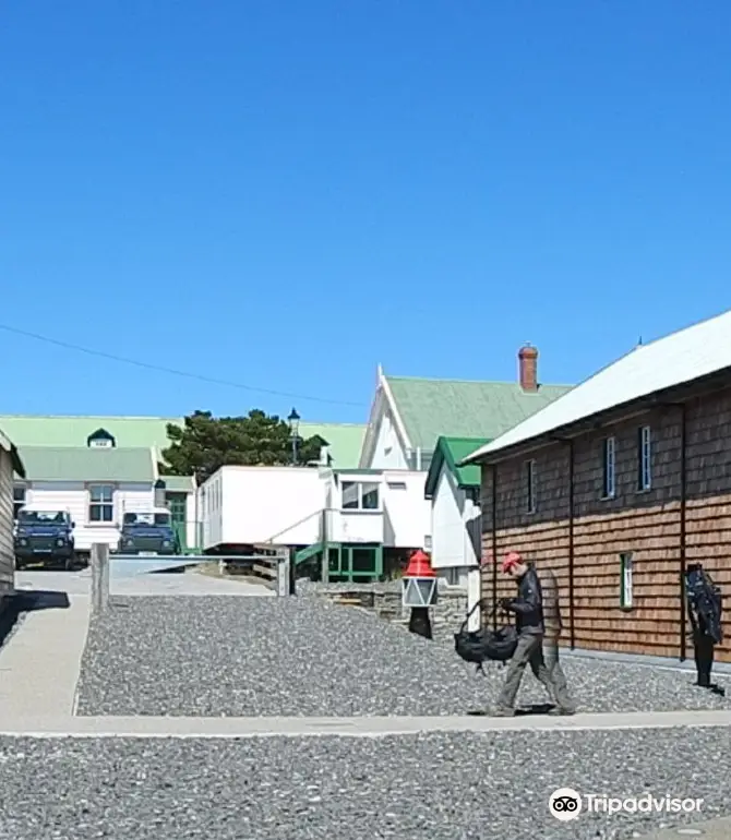 10 Best Things to do in Stanley, Falkland Islands Stanley travel