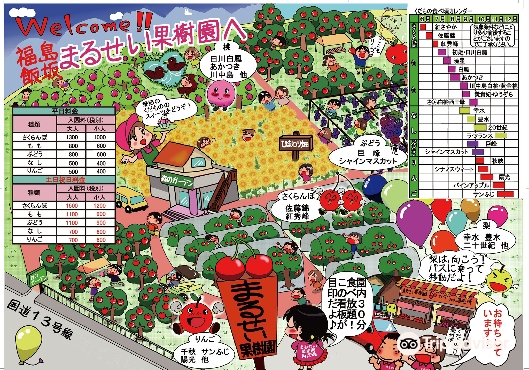 福島 まるせい果樹園 評判 案内 トリップドットコム 福島 まるせい果樹園 評判 案内 トリップドットコム