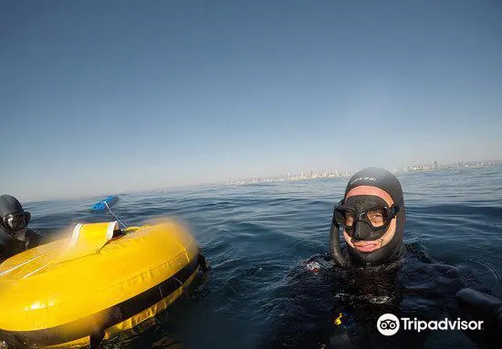 Freediving Gold Coast1
