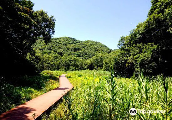 小網代の森景點評價 小網代の森門票 小網代の森優惠 小網代の森交通 地址 開放時間 小網代の森附近景點 酒店及美食 Trip Com