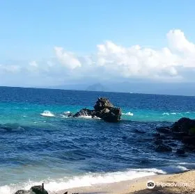 Giant Clam Sanctuary