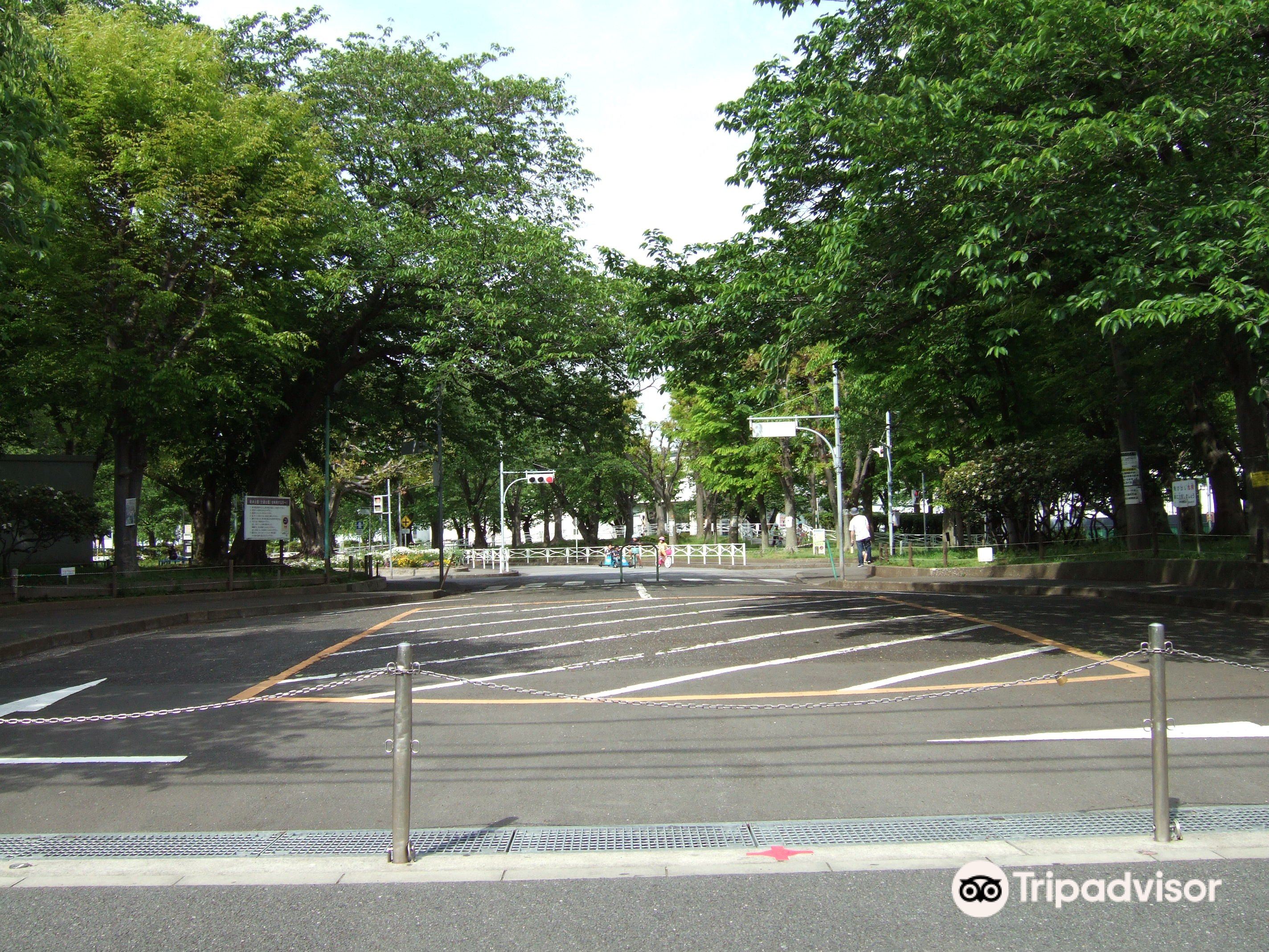 横須賀 根岸交通公園 評判 案内 トリップドットコム