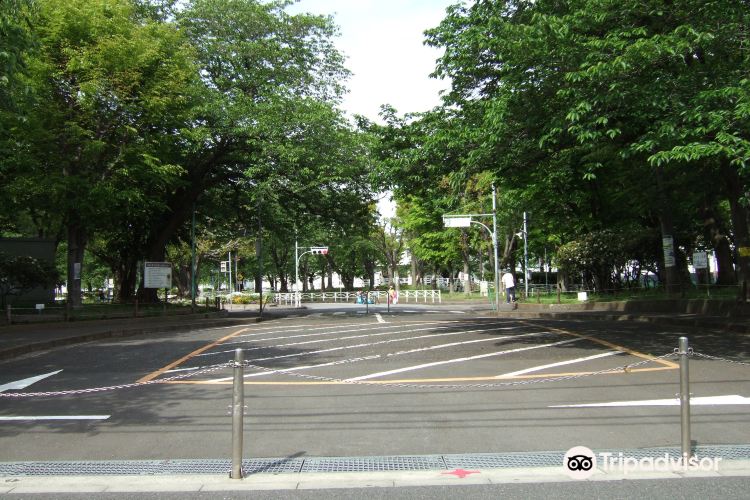 横須賀 根岸交通公園 評判 案内 トリップドットコム 横須賀 根岸交通公園 評判 案内 トリップドットコム