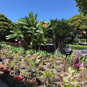 Moir Gardens