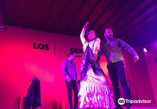 Flamenco los Olvidados