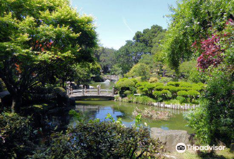 The San Mateo Japanese Garden