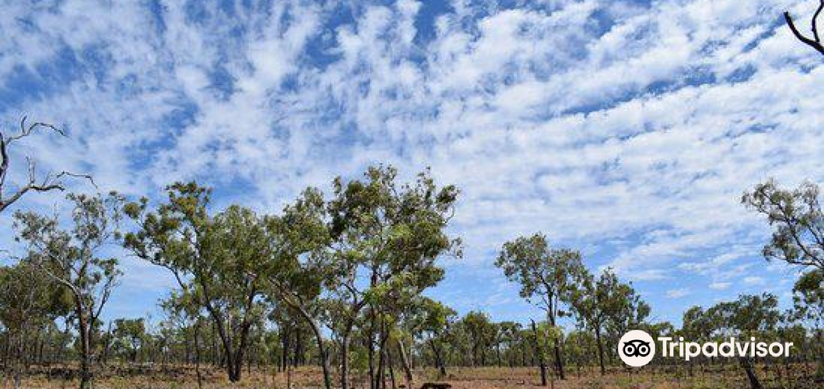 Etheridge Shire 2023 Top Things to Do Etheridge Shire Travel Guides