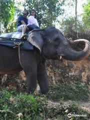 kumily tourist attractions Elephant Junction Thekkady