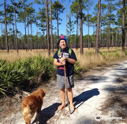 Florida dog camping in Ochlockonee River State Park